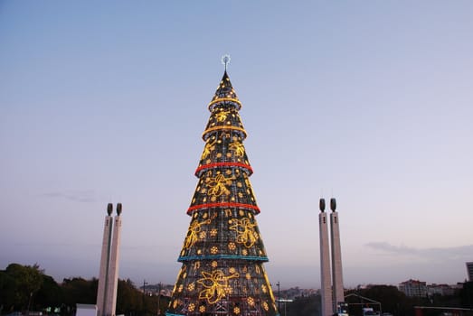 beautiful and tall Christmas tree in Lisbon
