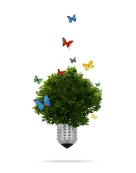 High resolution graphic of a lightbulb with tree growing inside surrounded by colorful butterflies. 