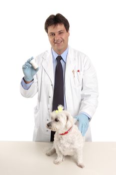 A vet holds a container of tablets, eg worming pills.