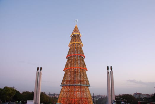 beautiful and tall Christmas tree in Lisbon
