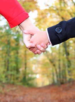 Holding hands. Young couple holding hands and walking in the autumn forest. Closeup.