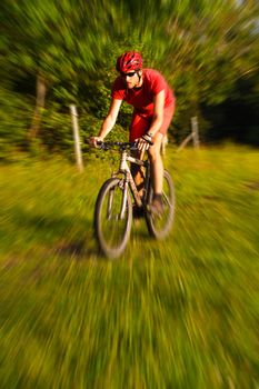 Mountain Biking with copy space. Man in red riding a mountain bike on a forest trail.