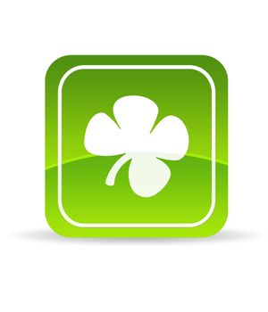 High resolution Green Clover icon on white background.