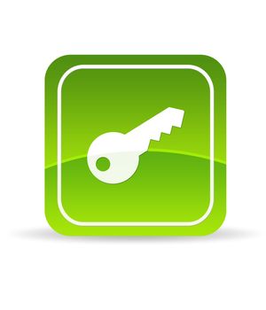 High resolution green key icon on white background.