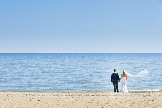 happy wedding couple standing on beach and holding hands. The bride veil flutters