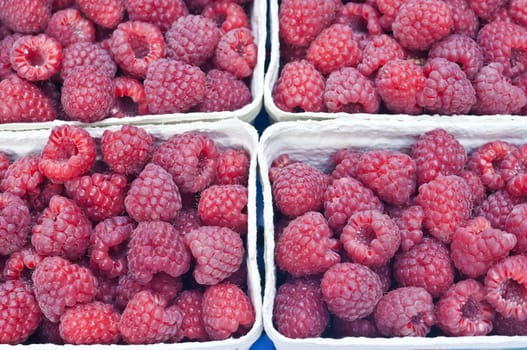 raspberry