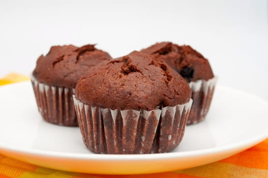 Close Up of Chocolate Muffins With Blueberries on White Plate