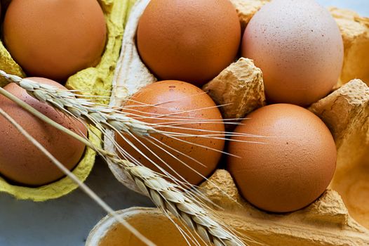 Some eggs and several wheat ears in box