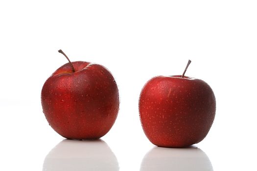Two red apples with waterdrops isolated on white background
