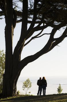 Couple Standing Under Tree With Backs To Camera Overlooking Ocean