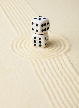 Playing dices on sand in Japanese rock garden