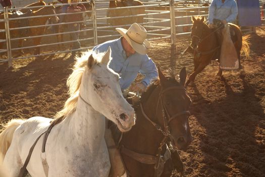 Stockman at a rodeo ride in the dusty dirt
