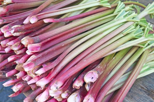 rhubarb at a street sale