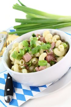 a white bowl of Munich ham pasta