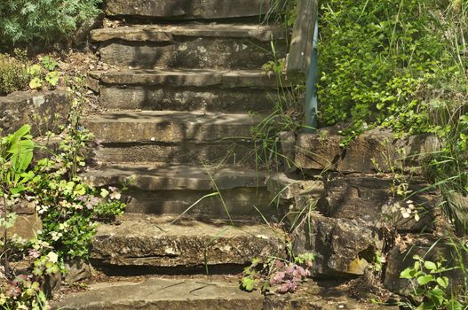 old stairs with flowers