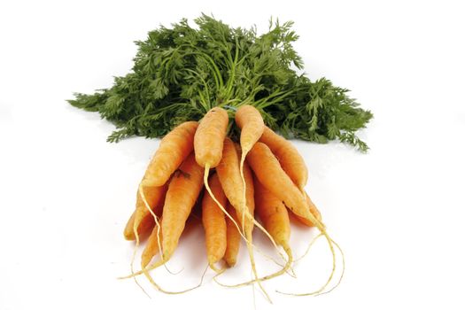 Bunch of young fresh carrots with green leafy tops on a reflective white background