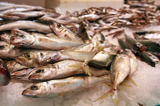 Fish and Seafood at a Market Stand