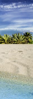 Beautiful summer skies with a hint of cloud, over palm tree skyline and tropical beach