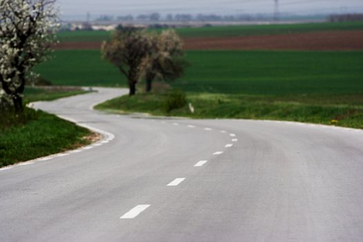 Picture of road in countryside