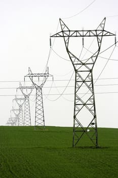 A distribution line on green field


