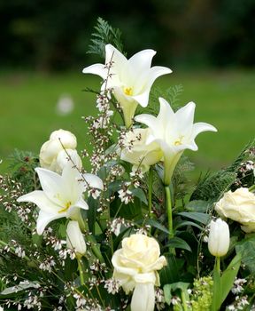 Lilium longiflorum  Grave jewelry