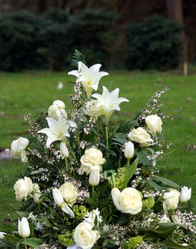 Lilium longiflorum  Grave jewelry