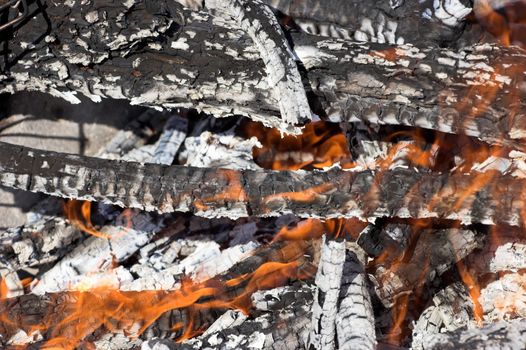 
Camping fire on the rocks