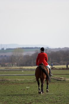 Picture of a horse rider