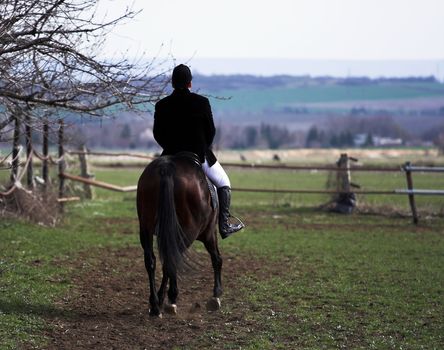 Picture of a horse rider