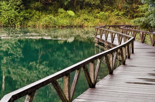Lake in green with wooden walkway in the forest.