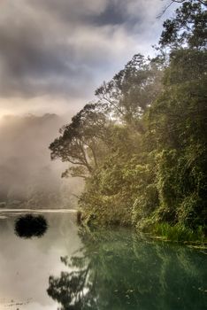 Nature scenery of sunrise in morning with lake and tree.