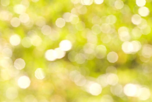 Nature abstract background with defocus light on grassland.