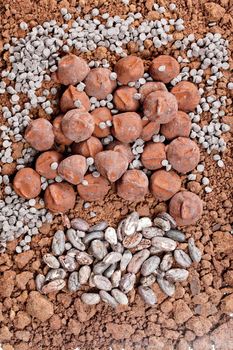 chocolate truffles and cocoa beans in cocoa