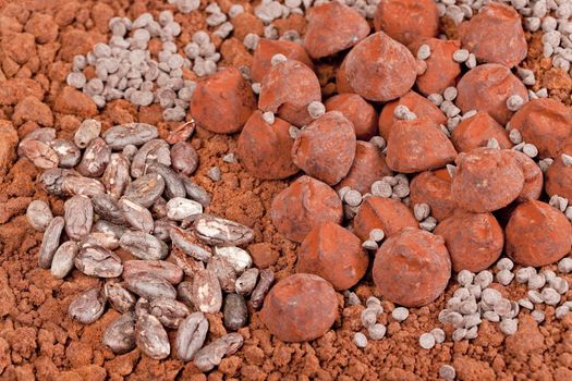 chocolate truffles and cocoa beans in cocoa