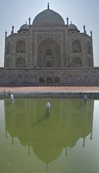 Symmetrick picture of white decorated monument in green pool.