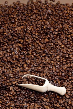 still life of coffee beans