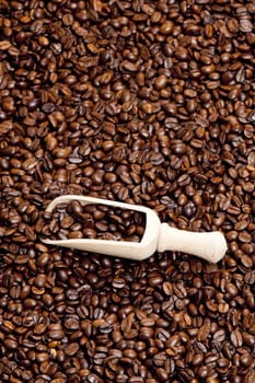 still life of coffee beans
