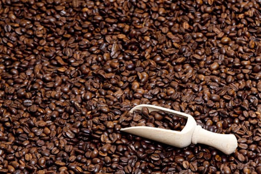still life of coffee beans