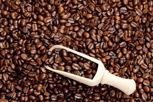 still life of coffee beans