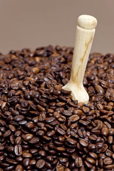 still life of coffee beans