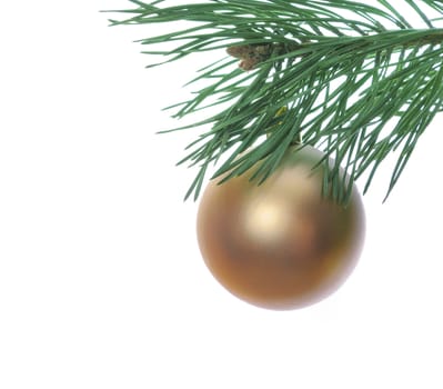 Christmas baubles and pine branch on white background