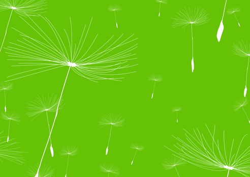 Green nature background with white dandelions and copy space