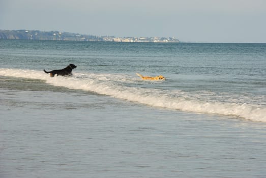 Sandy beach