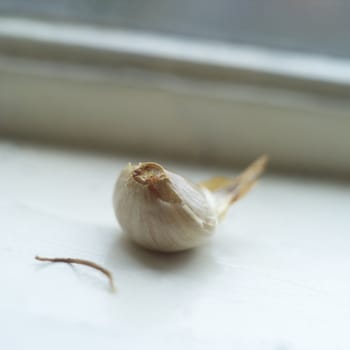 Garlic by the window shot with short focul lenght