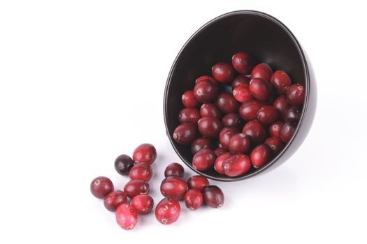 Red ripe cranberries spilling out of a small round black bowl on its side with a reflective white background