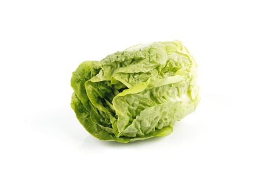 Small single fresh green salad lettace on a reflective white background