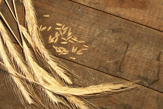 Wheat ears and seeds on wooden background with copy space
