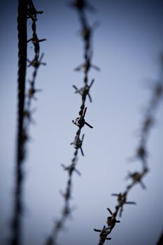 Abstract barbed wire with short focal depth