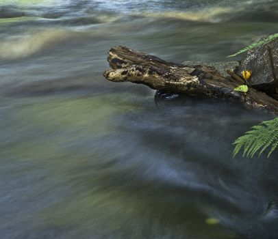 Stone in a pitch shot with long exposure time.