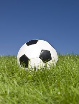 Black and white football in green grass.